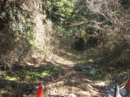 奥多摩の廃線跡と五日市線 橙葉高速ぶろぐ